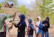Outbond Generus Nglipar di Wisata Punthuk Kepuh